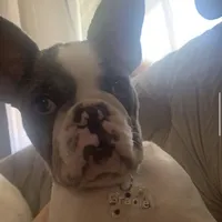 processed/ca672d59-d533-4019-939d-9e617b638150/facility/527d649e-86a6-4ebf-bad7-e253c5ff23e3