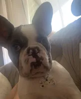 processed/ca672d59-d533-4019-939d-9e617b638150/facility/527d649e-86a6-4ebf-bad7-e253c5ff23e3