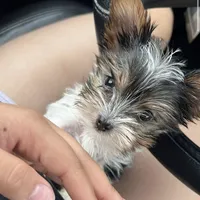 processed/ca672d59-d533-4019-939d-9e617b638150/facility/68754209-3195-4121-bb5d-bc6be6851c6c