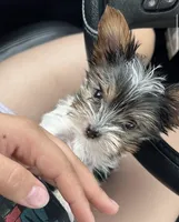 processed/ca672d59-d533-4019-939d-9e617b638150/facility/68754209-3195-4121-bb5d-bc6be6851c6c