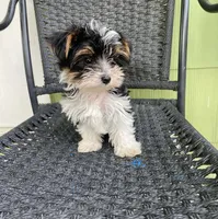 processed/ca672d59-d533-4019-939d-9e617b638150/facility/93c16f85-a5c9-4dad-8972-778c87f90ca8