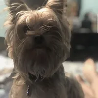 processed/ca672d59-d533-4019-939d-9e617b638150/facility/9659b37e-8dbc-4d97-9d84-6737930d7ab6