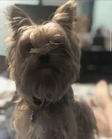 processed/ca672d59-d533-4019-939d-9e617b638150/facility/9659b37e-8dbc-4d97-9d84-6737930d7ab6