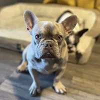 processed/ca672d59-d533-4019-939d-9e617b638150/facility/9d2c1a92-55ab-40f0-9306-128846b45254