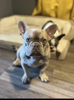 processed/ca672d59-d533-4019-939d-9e617b638150/facility/9d2c1a92-55ab-40f0-9306-128846b45254