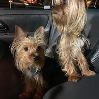 processed/ca672d59-d533-4019-939d-9e617b638150/facility/a8382492-24f2-4040-8209-c61560ae488f