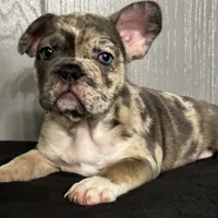 processed/ca672d59-d533-4019-939d-9e617b638150/facility/d4db3ca3-4bd3-415a-847d-07cfdad00c30