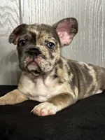 processed/ca672d59-d533-4019-939d-9e617b638150/facility/d4db3ca3-4bd3-415a-847d-07cfdad00c30