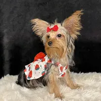 processed/ca672d59-d533-4019-939d-9e617b638150/facility/e657ef07-c381-4ab2-856f-a99a5b6f347a