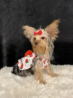 processed/ca672d59-d533-4019-939d-9e617b638150/facility/e657ef07-c381-4ab2-856f-a99a5b6f347a