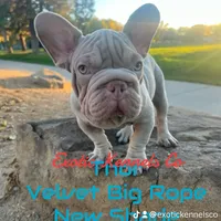 processed/ca672d59-d533-4019-939d-9e617b638150/facility/f86bf8e1-962b-47a8-ae90-8d15f7416353