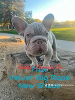 processed/ca672d59-d533-4019-939d-9e617b638150/facility/f86bf8e1-962b-47a8-ae90-8d15f7416353