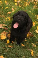 processed/ca6b6a86-691b-4996-983c-fbaeb839776c/facility/44673eea-047b-429b-9fea-b43cb19f661b