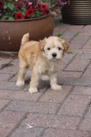 processed/ca6b6a86-691b-4996-983c-fbaeb839776c/facility/79ca9a59-4d0b-433e-8ced-4e8a16276df5