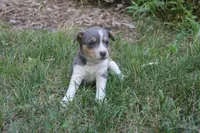 processed/ca6b6a86-691b-4996-983c-fbaeb839776c/facility/da775d53-142a-4f7a-a5d1-c1c52327e5ca