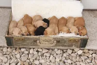 processed/ca6b6a86-691b-4996-983c-fbaeb839776c/facility/feaaa3ed-4fa6-4b27-a298-75de0179aef1