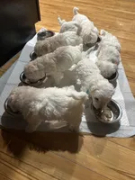 processed/ca7680d2-a938-4a57-8236-ba382e25a6d1/facility/90387248-1625-407f-910d-c0c20f9893d1