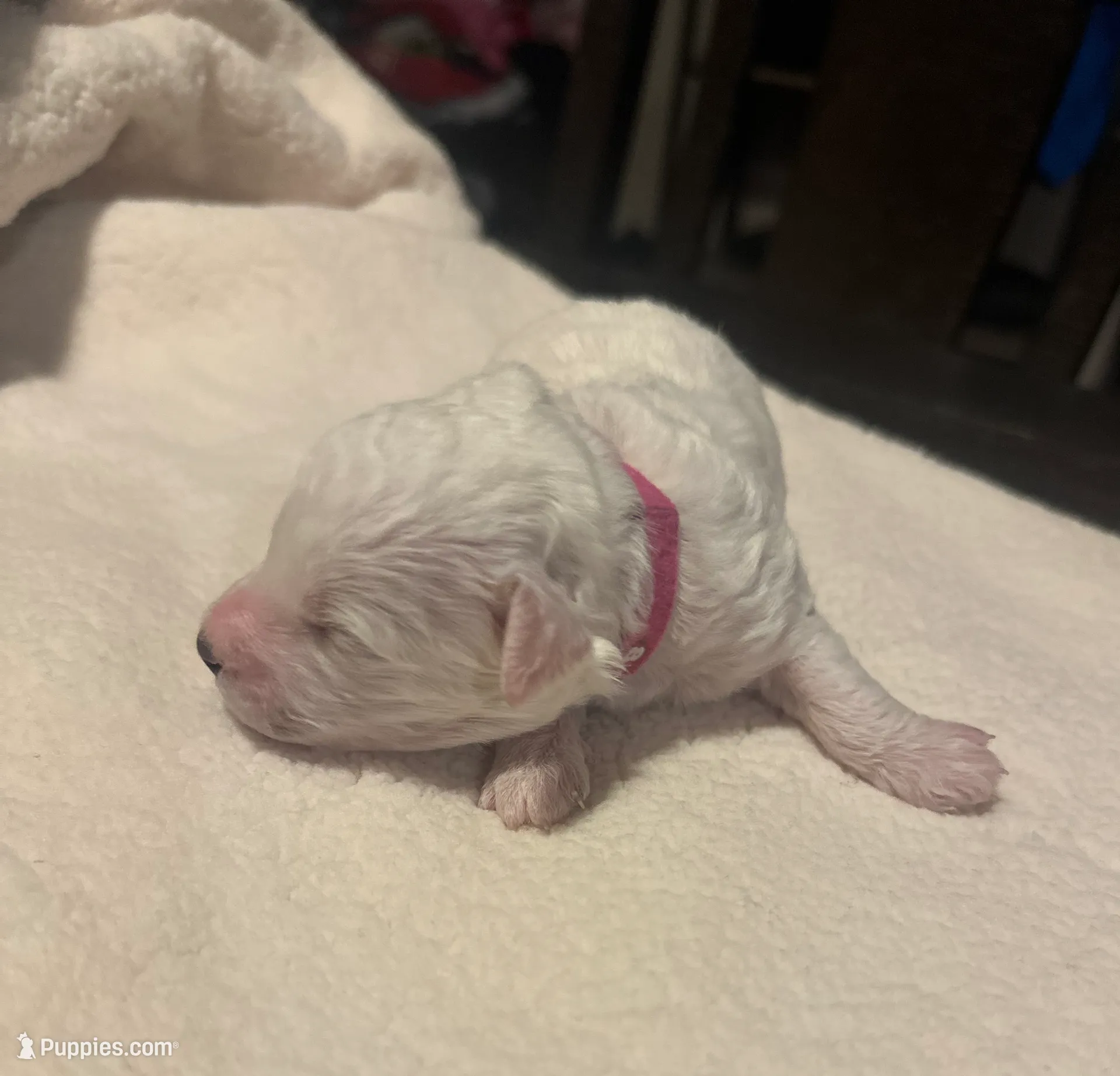 processed/ca7680d2-a938-4a57-8236-ba382e25a6d1/listing/0bb55f6e-52f3-4e00-8b03-fa57a4ee4c2a/2e67dc52-b706-4bf5-a898-1b26bfeb9384