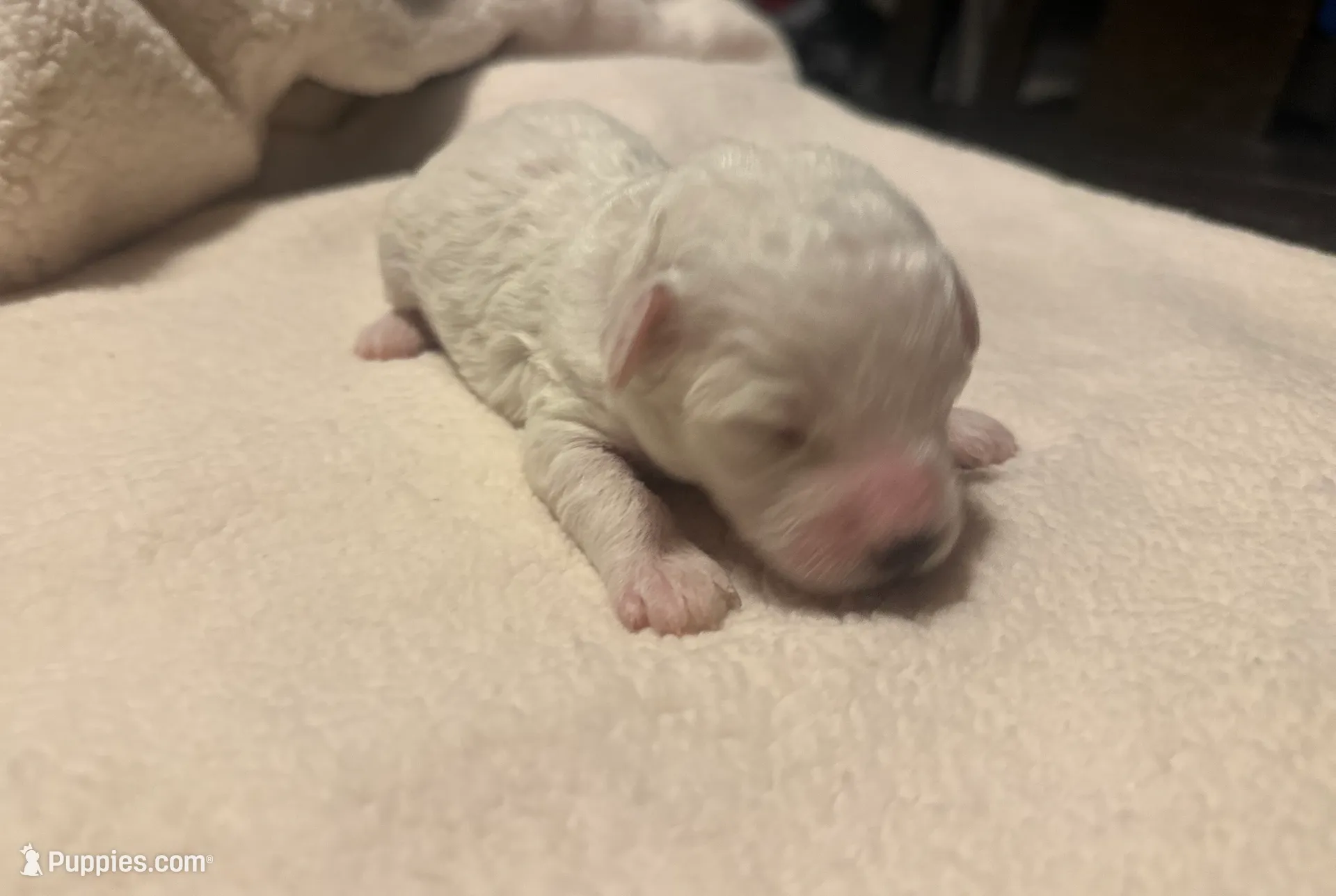 processed/ca7680d2-a938-4a57-8236-ba382e25a6d1/listing/0bb55f6e-52f3-4e00-8b03-fa57a4ee4c2a/4ffb9dde-a2e8-4b7f-8a33-992f9a349b61