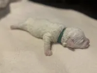 processed/ca7680d2-a938-4a57-8236-ba382e25a6d1/listing/1a7c79e9-a920-4041-913b-9f2f7a71e5ce/146e67e9-c98f-4b31-823c-61f1e630970c