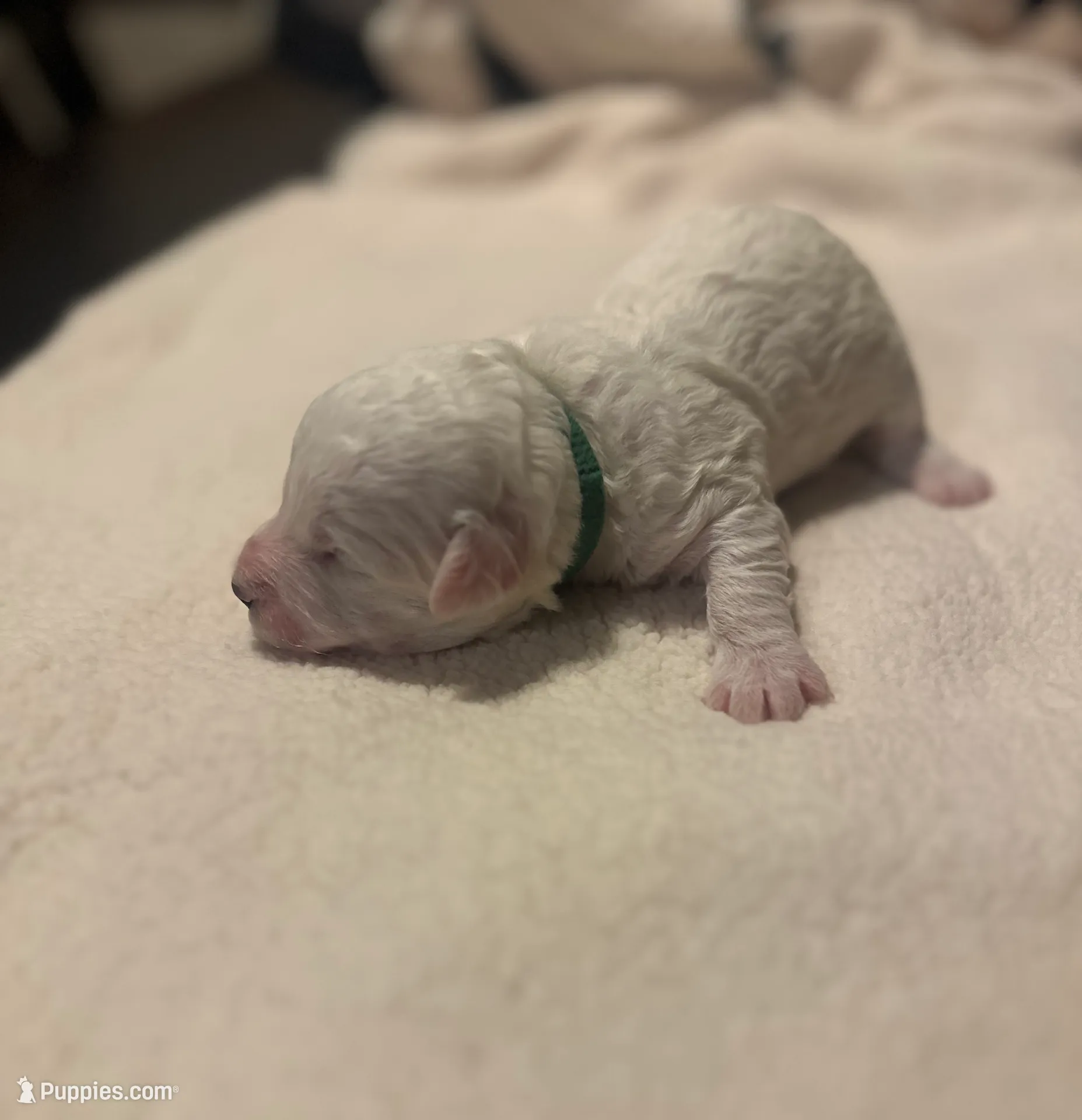 processed/ca7680d2-a938-4a57-8236-ba382e25a6d1/listing/1a7c79e9-a920-4041-913b-9f2f7a71e5ce/fc5a1861-9c10-467c-a6fb-0d7d0a4fbf70