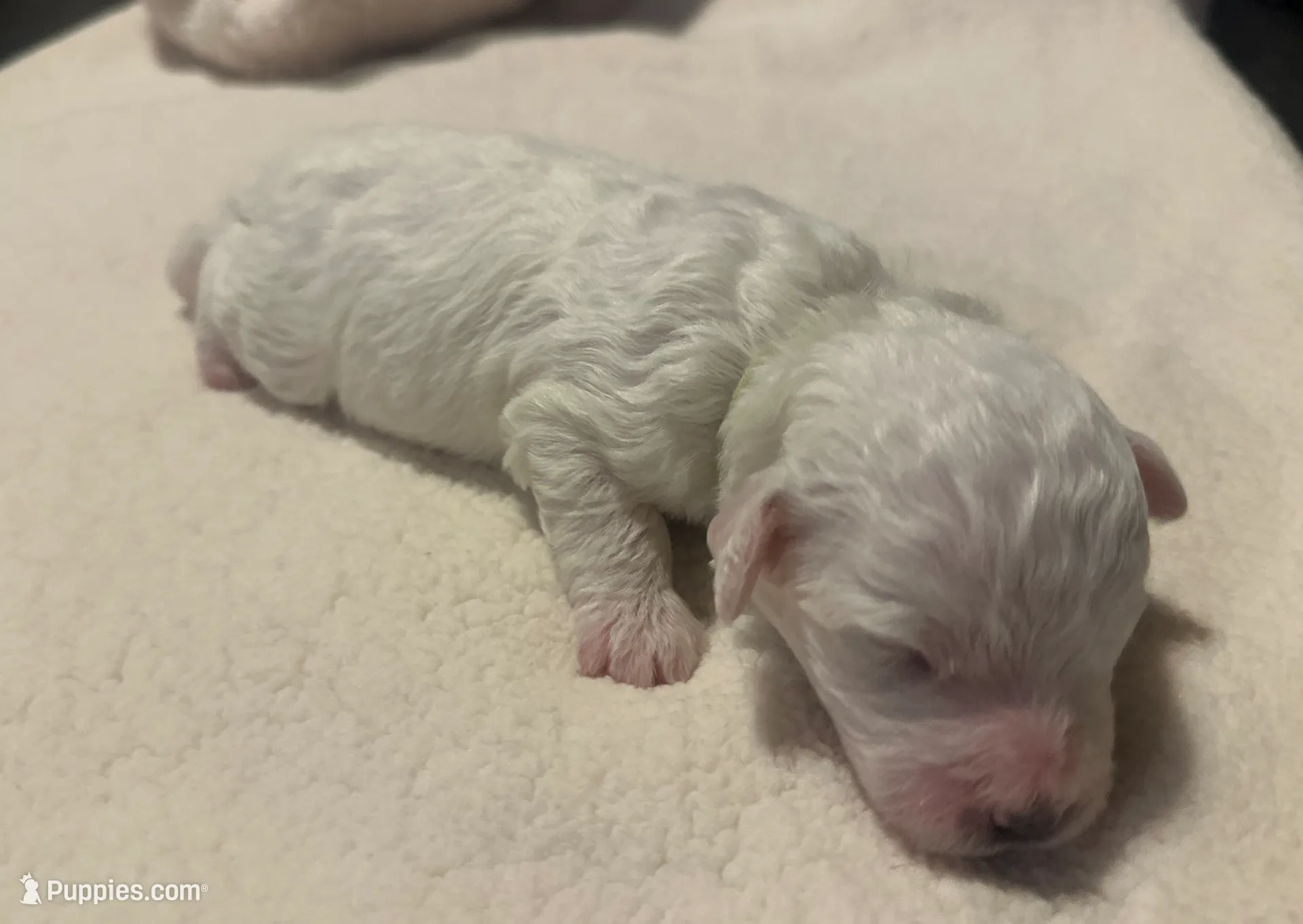 processed/ca7680d2-a938-4a57-8236-ba382e25a6d1/listing/2cc7049d-1cd4-47a1-9b3c-fa4a33e050f2/55e912d6-ffc6-4e2b-8025-b4656d41a217