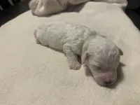 processed/ca7680d2-a938-4a57-8236-ba382e25a6d1/listing/2cc7049d-1cd4-47a1-9b3c-fa4a33e050f2/b17c6f9e-18e0-4c3c-9669-43529aa69c24