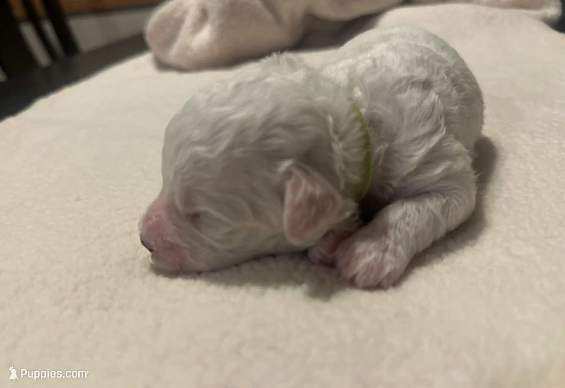 processed/ca7680d2-a938-4a57-8236-ba382e25a6d1/listing/2cc7049d-1cd4-47a1-9b3c-fa4a33e050f2/f2570e8c-4d21-44f2-b0c2-3d8e7a47b2f6