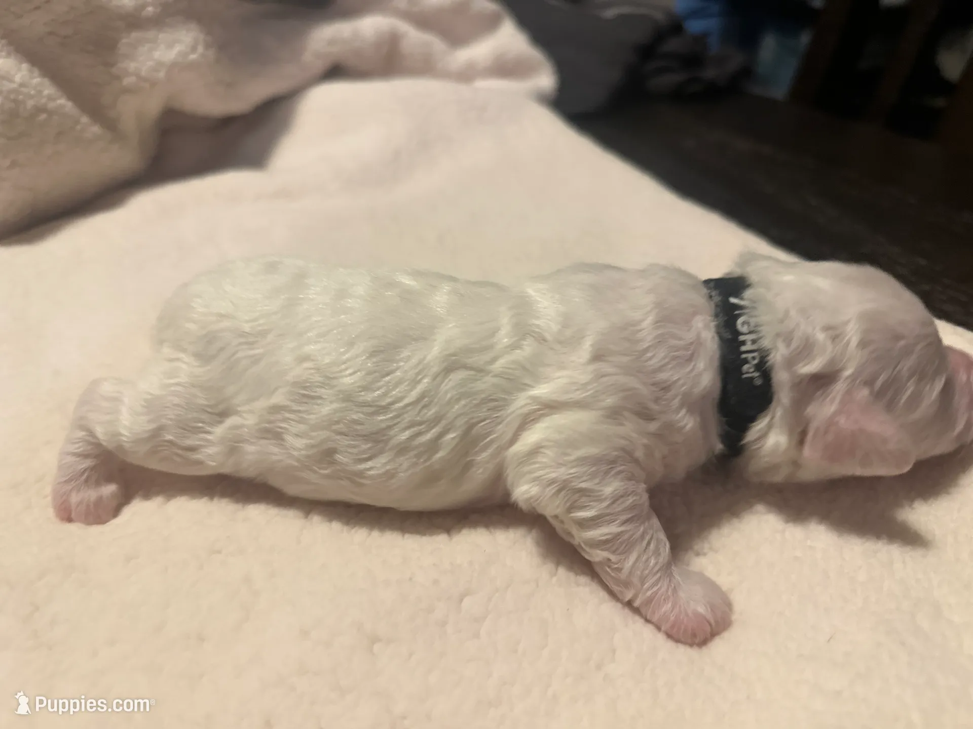 processed/ca7680d2-a938-4a57-8236-ba382e25a6d1/listing/3127d07a-d243-4c3c-9e2a-b16b094c8f49/0544c114-0f9f-4b69-a881-6b9778658e19