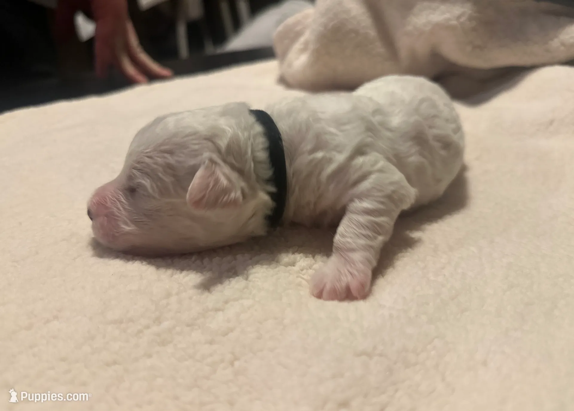 processed/ca7680d2-a938-4a57-8236-ba382e25a6d1/listing/3127d07a-d243-4c3c-9e2a-b16b094c8f49/a6f7b2d3-89c0-4e3d-b310-5de30d315700