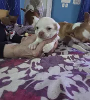 processed/ca7ac099-dfa5-4cf9-a0ea-a712779837d4/listing/304b8fac-8ad2-47f8-ab42-a10b17f330f1/153fc035-98f4-422b-8ccf-49f48b68a9b0