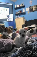 processed/ca7ac099-dfa5-4cf9-a0ea-a712779837d4/listing/304b8fac-8ad2-47f8-ab42-a10b17f330f1/4f625455-b953-45e9-8445-44a5da047323