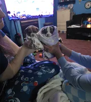 processed/ca7ac099-dfa5-4cf9-a0ea-a712779837d4/listing/312bcc6e-5df4-42fd-8a90-a36488bdc8d6/cfdbb489-029c-465b-87f2-8e2422a02dc3