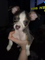 processed/ca7ac099-dfa5-4cf9-a0ea-a712779837d4/listing/312bcc6e-5df4-42fd-8a90-a36488bdc8d6/de1bb40e-5044-4028-8819-e534ca36db63