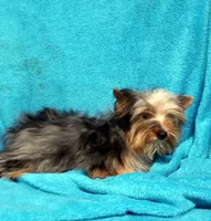 processed/ca860adc-4a3e-499f-9b14-82091bd294dd/listing/92c85688-5bc4-4fed-8658-d57ca3e5656c/5824b2d5-90e6-483d-b485-0cf6e8b37cb3