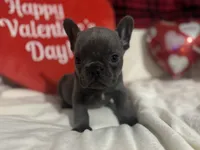 processed/ca8ec4d6-322f-4603-8975-9339b6155e0c/listing/58be5a03-91fe-484f-b02c-40842eb2c691/450cc36a-e81e-423b-b2bc-cf8dcf37f038