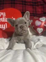 processed/ca8ec4d6-322f-4603-8975-9339b6155e0c/listing/dcfcf5da-49eb-4bff-81fc-33ee84a23735/f4e312a9-d89a-416d-bd68-5eab7f612a8f