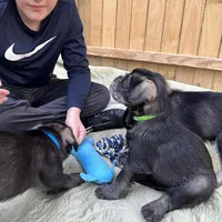 processed/ca92d148-686f-45a2-8336-089e34e1b4be/facility/05b28afe-d29e-430b-b209-4ec14e66cb91