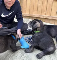 processed/ca92d148-686f-45a2-8336-089e34e1b4be/facility/05b28afe-d29e-430b-b209-4ec14e66cb91