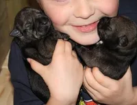 processed/ca92d148-686f-45a2-8336-089e34e1b4be/facility/0a235aa8-c4c4-447c-b7e3-be20f3e9ec03