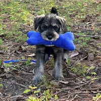 processed/ca92d148-686f-45a2-8336-089e34e1b4be/facility/124d6e50-6e30-41c1-a706-a12b4c5860d6