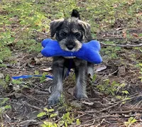 processed/ca92d148-686f-45a2-8336-089e34e1b4be/facility/124d6e50-6e30-41c1-a706-a12b4c5860d6