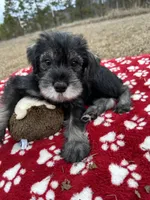 processed/ca92d148-686f-45a2-8336-089e34e1b4be/listing/3104f4fa-536e-49fa-8305-c99ce4951edb/1074a66b-aedf-4a79-987b-787dea4e5b69