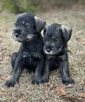 processed/ca92d148-686f-45a2-8336-089e34e1b4be/listing/3104f4fa-536e-49fa-8305-c99ce4951edb/2836d0b6-2d8d-424d-a380-365d23d19d0d