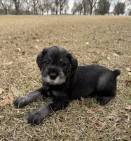 processed/ca92d148-686f-45a2-8336-089e34e1b4be/listing/3104f4fa-536e-49fa-8305-c99ce4951edb/4ac98281-8670-4984-bff5-414656560d9d