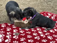 processed/ca92d148-686f-45a2-8336-089e34e1b4be/listing/3104f4fa-536e-49fa-8305-c99ce4951edb/e6396a45-a174-4a31-9509-5ccf9465d787