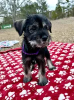 processed/ca92d148-686f-45a2-8336-089e34e1b4be/listing/35971f55-aa0e-409f-86af-7033b87e0aa7/22e89925-df28-4f9a-abe3-113fa6a7d8a7