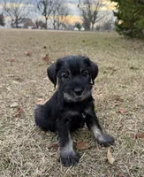 processed/ca92d148-686f-45a2-8336-089e34e1b4be/listing/35971f55-aa0e-409f-86af-7033b87e0aa7/cb32be49-64b2-4295-ba21-514c31d219d2