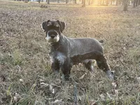 processed/ca92d148-686f-45a2-8336-089e34e1b4be/listing/db714733-246c-4b73-8948-53631af322fa/13c37f9c-c168-463e-b18a-f5bf04b36f41