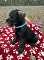 processed/ca92d148-686f-45a2-8336-089e34e1b4be/listing/db714733-246c-4b73-8948-53631af322fa/ab227672-85f2-4474-a094-f413f5c444dc